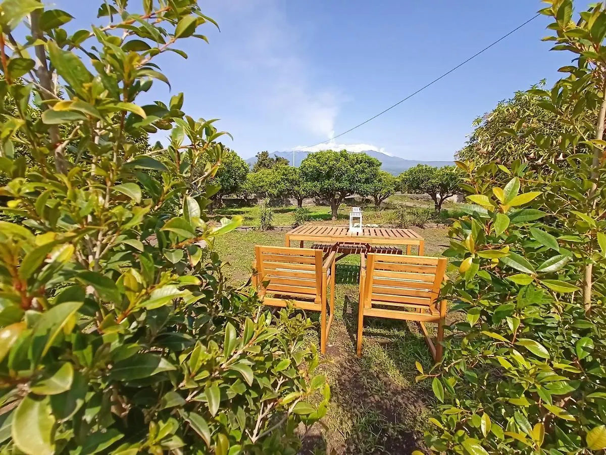Giardino Arancio - Casa Vacanze 加里 0*,