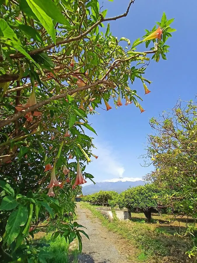 Giardino Arancio - Casa Vacanze 加里 0*,