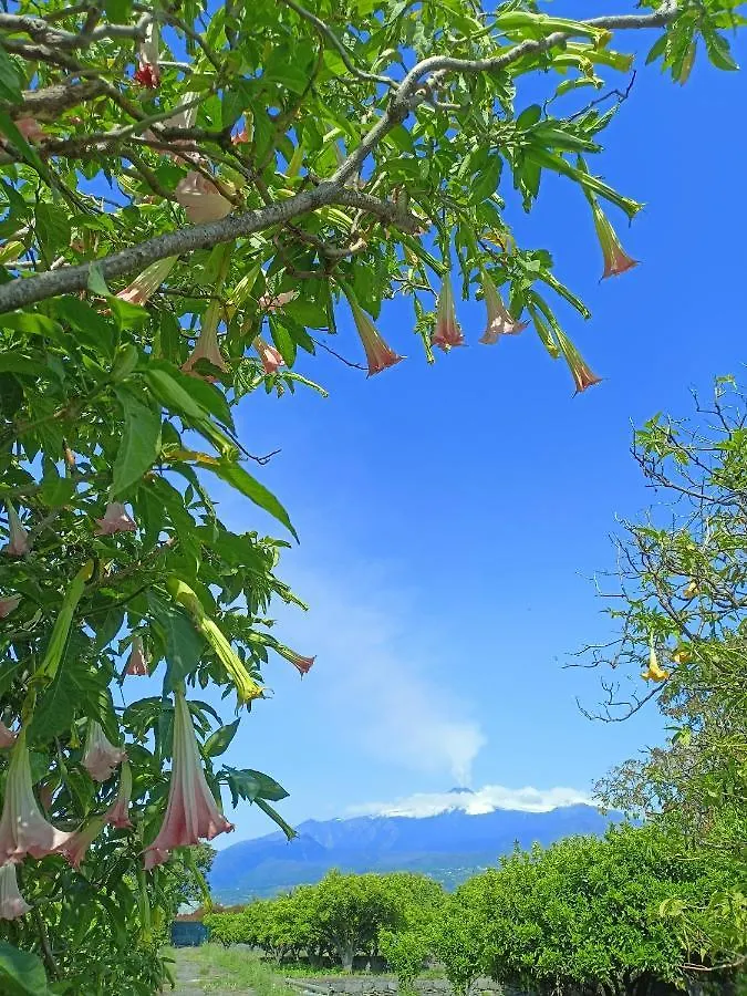 Giardino Arancio - Casa Vacanze 加里 意大利